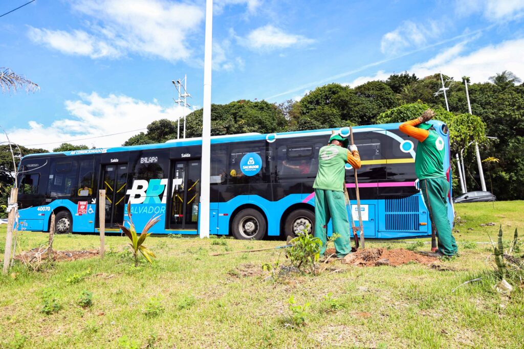 Salvador avança com novo plantio de árvores ao longo do Salvador avança com novo plantio de árvores ao longo do BRT – Secretaria de Comunicação