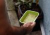 Chikungunya traz preocupações após uma década de presença no Brasil Chikungunya traz preocupações após uma década de presença no Brasil