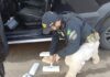PRF apreende Cloridrato de Cocaína, Maconha, Skunk e Crack em veículo na BR 262 em Rio Casca (MG) — Polícia Rodoviária Federal Drogas Rio Casca Agosto 25.jpg