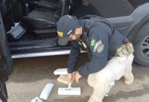 PRF apreende Cloridrato de Cocaína, Maconha, Skunk e Crack em veículo na BR 262 em Rio Casca (MG) — Polícia Rodoviária Federal Drogas Rio Casca Agosto 25.jpg