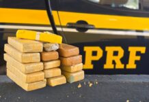PRF apreende drogas e prende motorista em Rio Casca (MG) — Polícia Rodoviária Federal Imagem do WhatsApp de 2025-09-16 à(s) 12.15.58_b78c578f.jpg