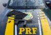 PRF detém homem com carro roubado, pistola e toucas balaclava no Recife — Polícia Rodoviária Federal PRF detém homem com carro roubado, pistola e toucas balaclava no Recife