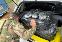 PRF intercepta 200 quilos de maconha e skunk na BR-282 em Chapecó — Polícia Rodoviária Federal 1.jpg