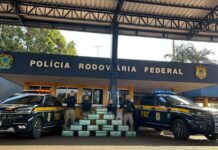 PRF intercepta dois caminhões e apreende 330 kg de cocaína em Jataí (GO) — Polícia Rodoviária Federal WhatsApp Image 2025-09-13 at 07.15.08 (1).jpeg
