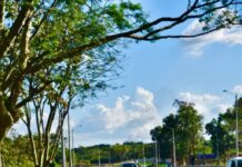 PRF localiza homem desaparecido em trecho da BR-135 no Sul do Piauí. — Polícia Rodoviária Federal PRF localiza homem desaparecido em trecho da BR-135 no Sul do Piauí. — Polícia Rodoviária Federal