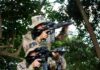 Agentes da PRF concluem o I Curso de Atirador Designado Policial (CADP) promovido pela Polícia Militar de Alagoas — Polícia Rodoviária Federal 7ce774f1-d219-4176-a19c-b686b19653cb.jfif