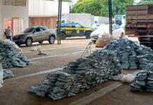 Apreensões de agrotóxicos ilegais pela PRF triplicam em 2025 no Paraná — Polícia Rodoviária Federal WhatsApp Image 2025-10-17 at 15.05.32.jpeg