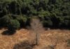 Brasil pode suprir demanda por bioenergia sem desmatar, aponta estudo Brasil pode suprir demanda por bioenergia sem desmatar, aponta estudo