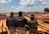 Em operação no Pará, PRF bate recorde nacional de apreensão de madeira ilegal — Polícia Rodoviária Federal Em operação no Pará, PRF bate recorde nacional de apreensão de madeira ilegal