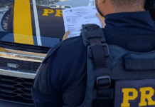 Foragido da justiça por tráfico de drogas no Acre é preso pela PRF na BR-316, no Maranhão — Polícia Rodoviária Federal Bone White Simple Still Growing Desktop Wallpaper (4).png