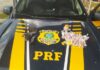 Homem é detido com droga, arma, celular roubado e moto clonada em Igarassu — Polícia Rodoviária Federal Homem é detido com droga, arma, celular roubado e moto clonada em Igarassu