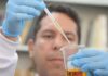 Metanol: crise completa um mês com alerta para falsificação de bebidas Metanol: crise completa um mês com alerta para falsificação de bebidas