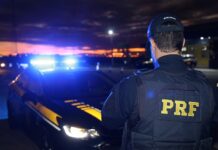 PRF Prende Homem Após Acidente na BR-101 — Polícia Rodoviária Federal IMG_9595.jpeg