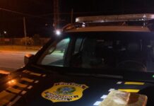 PRF apreende dois quilos de skunk em Casimiro de Abreu — Polícia Rodoviária Federal taa.jpg