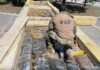 PRF apreende mais de três toneladas de maconha em carga de madeira no RJ — Polícia Rodoviária Federal IMG-20251006-WA0077.jpg