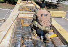 PRF apreende mais de três toneladas de maconha em carga de madeira no RJ — Polícia Rodoviária Federal IMG-20251006-WA0077.jpg
