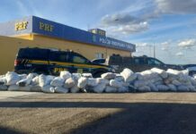 PRF e CIPE Caatinga apreendem 781 Kg de maconha em Juazeiro — Polícia Rodoviária Federal PRF e CIPE Caatinga apreendem 781 Kg de maconha em Juazeiro
