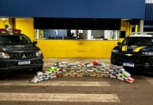 PRF em Rondônia apreende quase 69 kg de drogas em caminhão em Pimenta Bueno — Polícia Rodoviária Federal 658edd5e-da8f-4daa-83f1-368affd6a83c.jpg