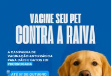 Prefeitura de Santo Antônio de Jesus prorrogou Campanha de Vacinação Antirrábica para cães e gatos – Prefeitura de Santo Antônio de Jesus – BA Prefeitura de Santo Antônio de Jesus prorrogou Campanha de Vacinação Antirrábica para cães e gatos – Prefeitura de Santo Antônio de Jesus - BA