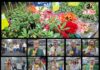 Personalidades prestigiaram a abertura do Rotary Flores Holambra, nessa quinta-feira, 30, em Santo Antonio de Jesus