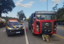 Caminhão roubado em 2021 é recuperado pela PRF na BR-381 em Sabará (MG) — Polícia Rodoviária Federal Caminhão VW recuperado Sabará.jpg