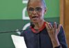 “É fundamental considerar judicialização”, diz Marina Silva sobre PL “É fundamental considerar judicialização”, diz Marina Silva sobre PL