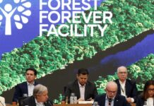 Lula lança em Belém fundo para preservação de florestas tropicais Lula lança em Belém fundo para preservação de florestas tropicais