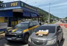 PRF apreende 20 kg de drogas na BR-101 em Viana e reforça combate ao crime organizado interestadual — Polícia Rodoviária Federal WhatsApp Image 2025-11-05 at 2.53.02 PM.jpeg
