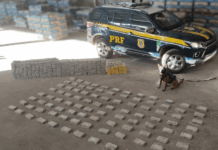 PRF apreende 386 kg de cocaína escondidos em carga de cimento em Campo Grande (MS) — Polícia Rodoviária Federal PRF apreende 386 kg de cocaína escondidos em carga de cimento em Campo Grande (MS)