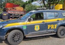 PRF apreende caminhão com carga de madeira nativa na BR-020 — Polícia Rodoviária Federal e130b07c-38da-4e9e-a95e-1838968725f8.jpg