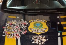 PRF apreende cocaína e crack e prende 2 passageiros na BR-040, em Sete Lagoas (MG) — Polícia Rodoviária Federal WhatsApp Image 2025-11-24 at 11.43.05.jpeg