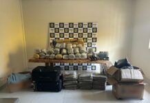 PRF apreende mais de 150 kg de drogas e quatro armas de fogo em Pimenta Bueno — Polícia Rodoviária Federal Foto apreensão em Pimenta Bueno.jpeg