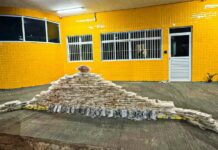 PRF apreende mais de 200 tabletes de drogas em Primavera do Leste (MT) — Polícia Rodoviária Federal WhatsApp Image 2025-11-04 at 09.53.19.jpeg