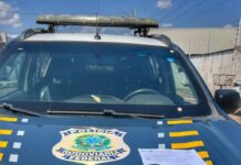 PRF cumpre mandado de prisão durante fiscalização na BR-316, em Picos — Polícia Rodoviária Federal WhatsApp Image 2025-11-07 at 17.00.36.jpeg