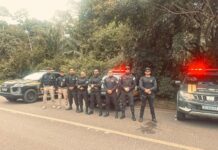 PRF e AGEAC realizam operação conjunta em Cruzeiro do Sul para combater transporte clandestino de passageiros — Polícia Rodoviária Federal WhatsApp Image 2025-11-14 at 13.38.00 (1).jpeg