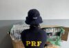 PRF e Denar apreendem 332 Kg de cocaína em Campo Grande (MS) — Polícia Rodoviária Federal PRF apreende 332 Kg de cocaína em Campo Grande (MS).jpg