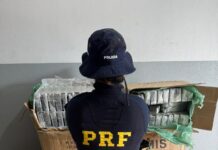 PRF e Denar apreendem 332 Kg de cocaína em Campo Grande (MS) — Polícia Rodoviária Federal PRF apreende 332 Kg de cocaína em Campo Grande (MS).jpg