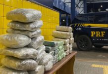 PRF em Rondônia apreende mais de 40 kg de entorpecentes em Vilhena — Polícia Rodoviária Federal Ocorrência - tráfico de drogas - Vilhena.jpeg