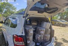 PRF flagra furto de carga em caminhão acidentado e prende suspeito em Anchieta — Polícia Rodoviária Federal WhatsApp Image 2025-11-18 at 11.16.01 AM.jpeg