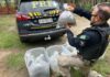 PRF flagra motorista transportando mais de 20 arraias no porta-malas de carro no RJ — Polícia Rodoviária Federal IMG-20251111-WA0026.jpg