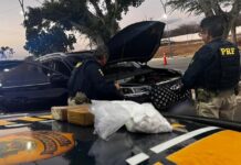 PRF prende traficante e apreende drogas, dinheiro, documentos falsos e veículo adulterado — Polícia Rodoviária Federal IMG-20251031-WA0153.jpg