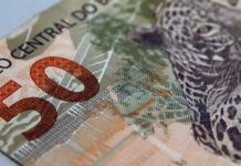 Fundações sem fins lucrativos pagam salários maiores que empresas Fundações sem fins lucrativos pagam salários maiores que empresas