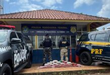 PRF e PM-PA apreendem 32 kg de skunk durante fiscalização na BR-230, em Altamira/PA — Polícia Rodoviária Federal WhatsApp Image 2025-11-28 at 14.18.15.jpeg