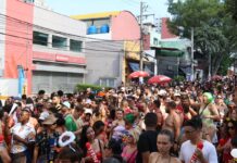 Carnaval de rua em São Paulo terá mais de 600 blocos Carnaval de rua em São Paulo terá mais de 600 blocos