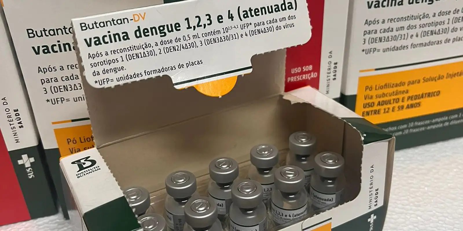 Começa vacinação contra a dengue no Rio de Janeiro Começa vacinação contra a dengue no Rio de Janeiro