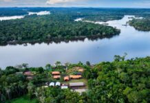 Fundo Amazônia aplica R$ 80 milhões para produção agrícola comunitária Fundo Amazônia aplica R$ 80 milhões para produção agrícola comunitária