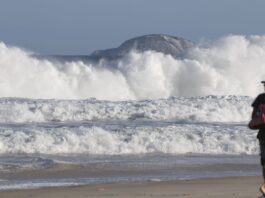 Especialistas alertam para riscos ambientais de intervenções em praias Especialistas alertam para riscos ambientais de intervenções em praias