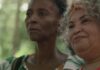 TV Brasil: documentários mostram luta feminina e violência doméstica TV Brasil: documentários mostram luta feminina e violência doméstica