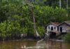 Projeto leva tratamento gratuito a doenças negligenciadas no Amazonas Projeto leva tratamento gratuito a doenças negligenciadas no Amazonas