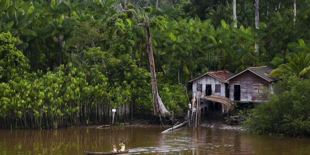 Projeto leva tratamento gratuito a doenças negligenciadas no Amazonas
